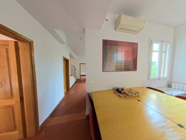 apartments in florence